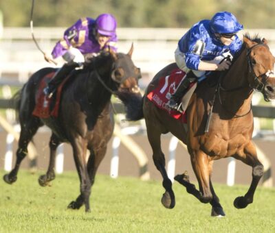 Arabian Crown, horses, Godolphin, Canadian International Stakes, sábado, 3 de octubre de 2026, Woodbine. Michael Burns Photography & Woodbine