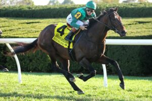 Bottas, horse, Vekoma, Bryan Station Stakes, sábado, 24 de octubre de 2026, Keeneland. Foto: @coadymediaUSA