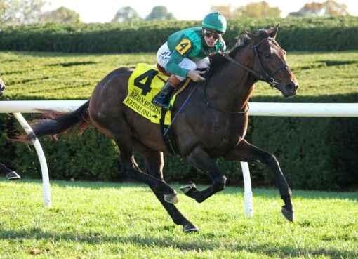 Bottas, horse, Vekoma, Bryan Station Stakes, sábado, 24 de octubre de 2026, Keeneland. Foto: @coadymediaUSA