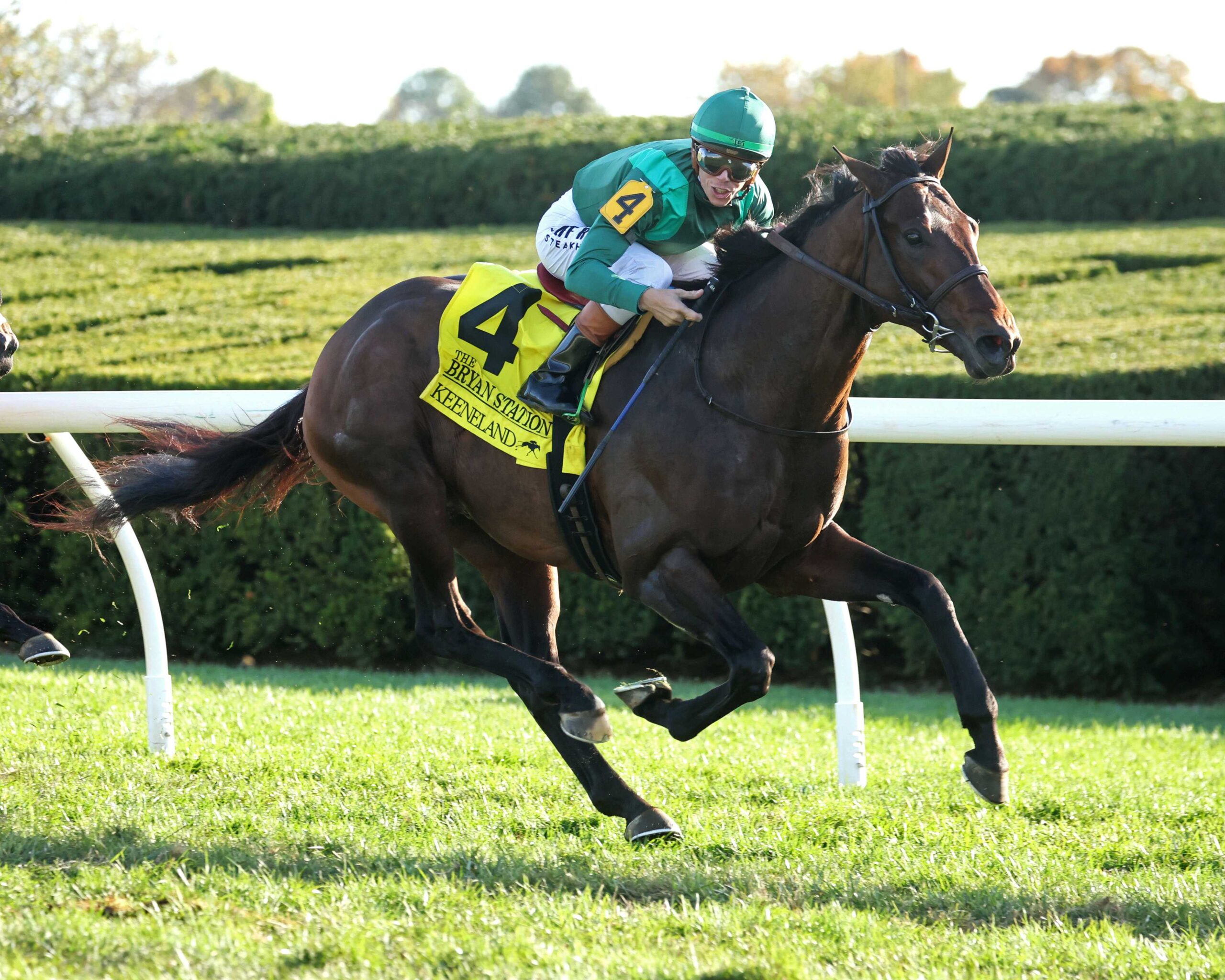 Bottas, horse, Vekoma, Bryan Station Stakes, sábado, 24 de octubre de 2026, Keeneland. Foto: @coadymediaUSA