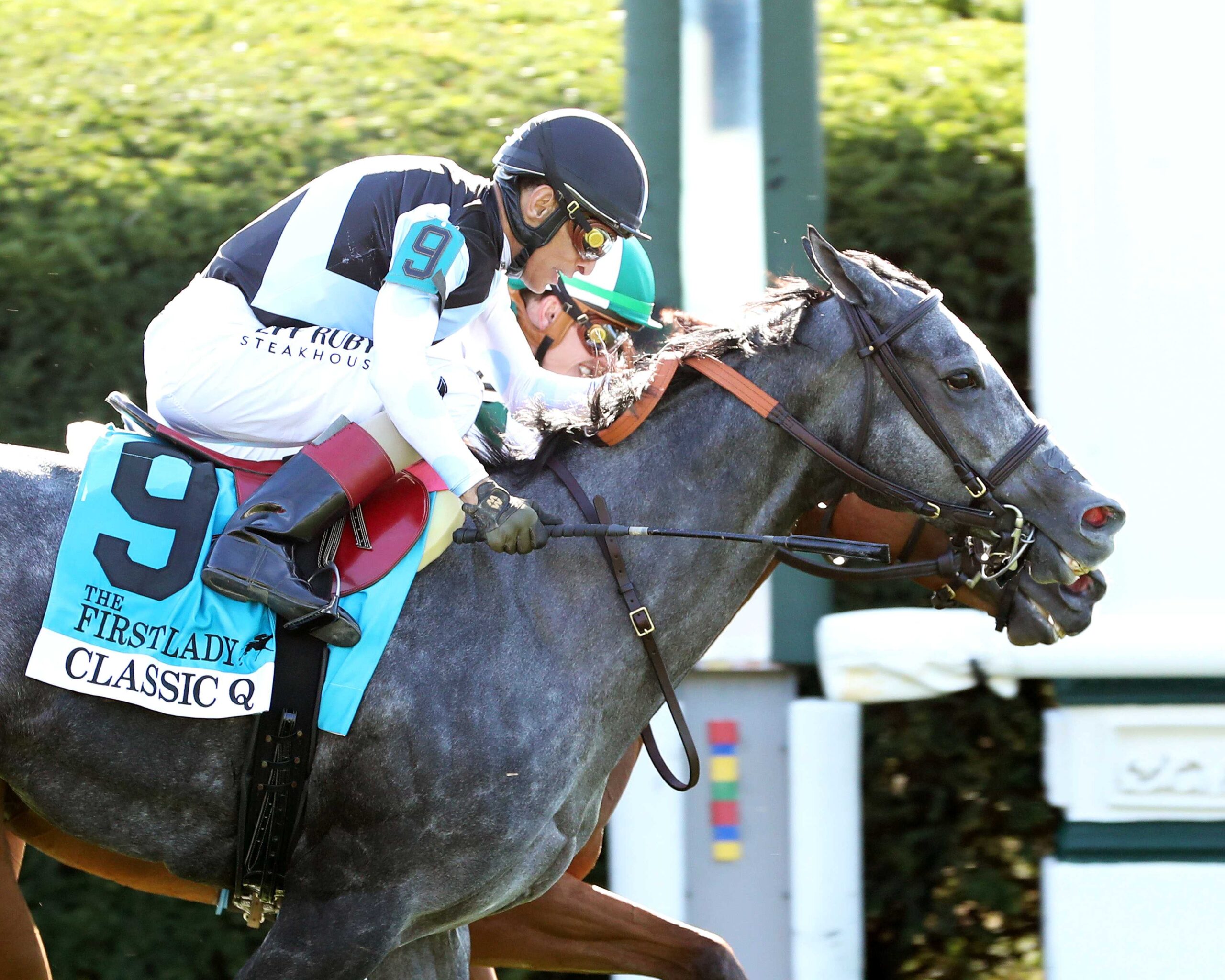 Classic Q, horse, Gary Barber, UK HealthCare First Lady Stakes, sábado, 3 de octubre de 2026, Keeneland. Foto: @coadymediaUSA