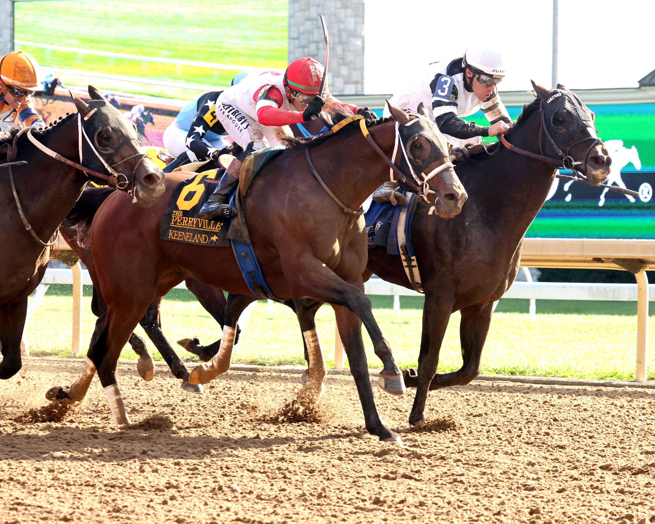 Dr. Kapur, horses, Kenneth Ramsey, Perryville Stakes, sábado, 17 de octubre de 2026, Keeneland. Foto: @coadymediaUSA