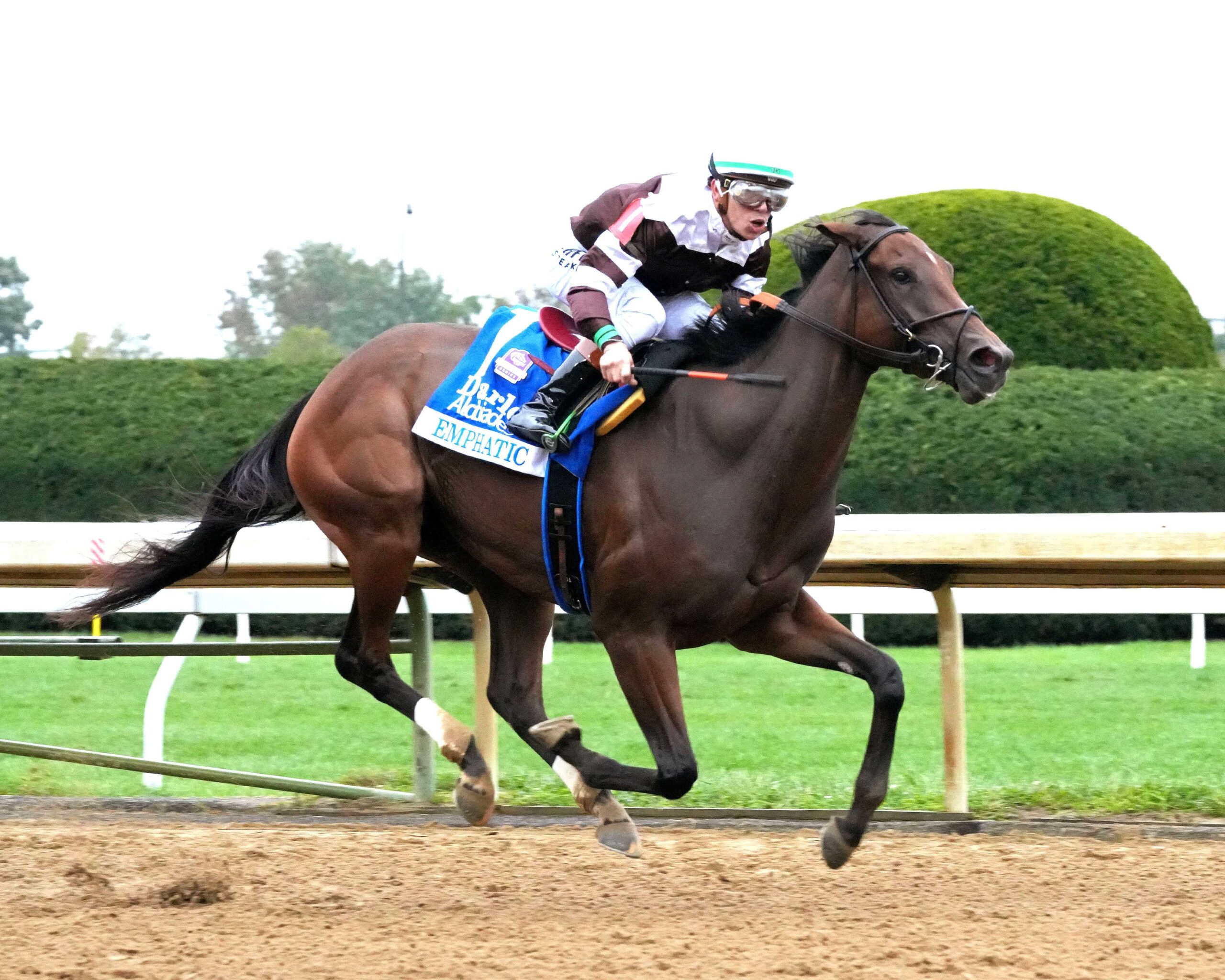 Emphatic, horse, Nyquist, Darley Alcibiades Stakes, viernes, 2 de octubre de 2026, Keeneland. Foto: Coady Media