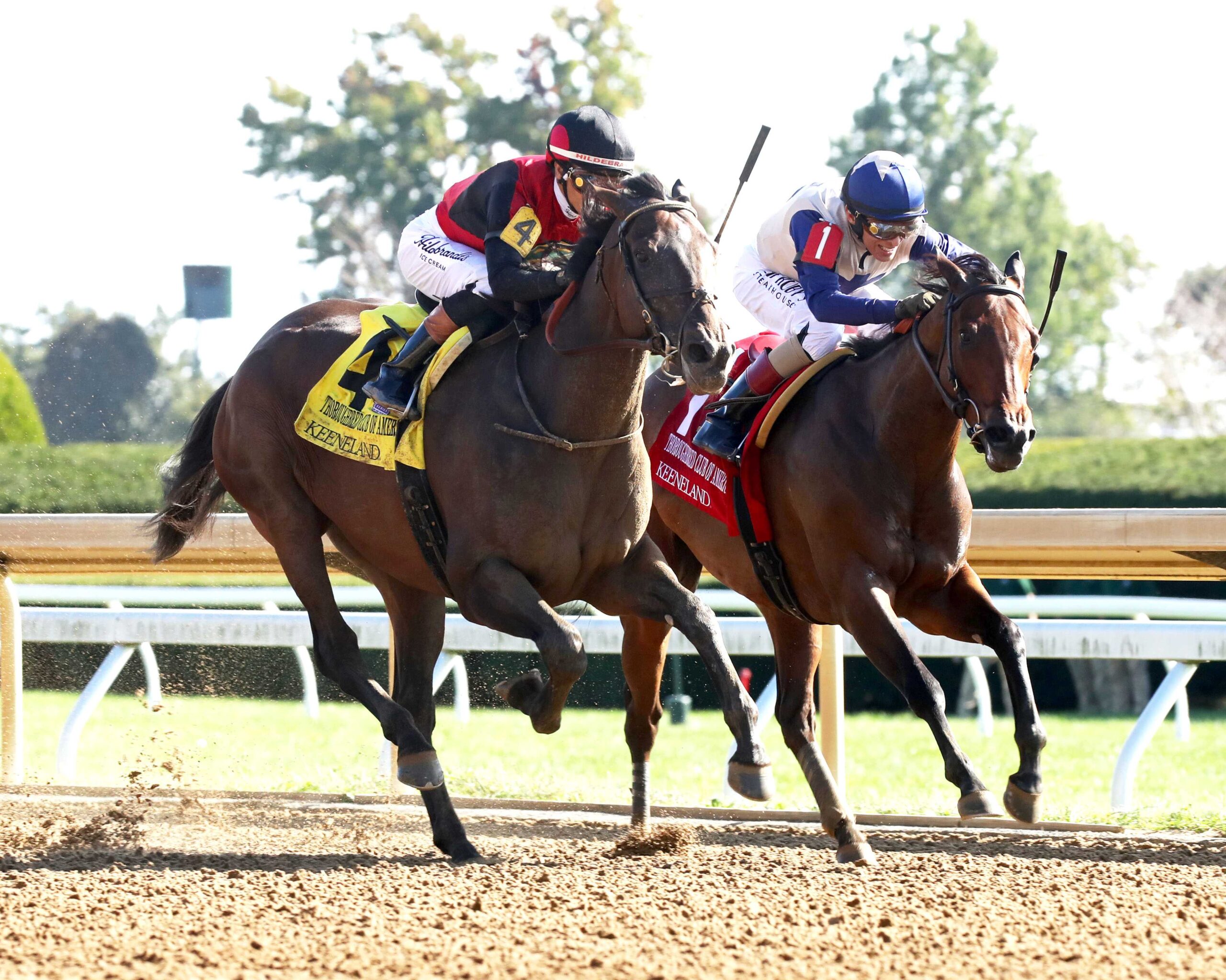 Evanescence, horse, Munnings, Thoroughbred Club America, sábado, 3 de octubre de 2026, Keeneland. Foto: @coadymediaUSA
