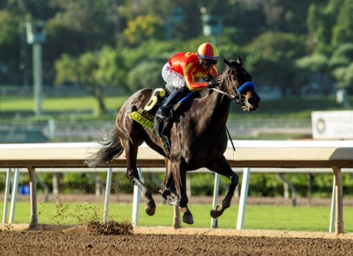 Explora, horses, Blame, Oak Leaf Stakes, sábado, 4 de octubre de 2025, Santa Anita Park. Foto: Benoit Photo