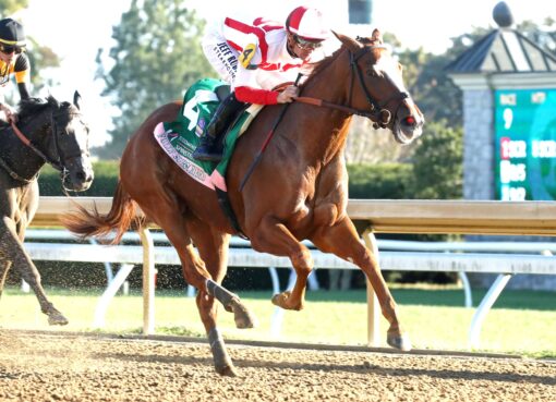 Fully Subscribed, horse, Tiz The Law, Juddmonte Spinster Stakes, domingo, 4 de octubre de 2026, Keeneland. Foto: @coadymediaUSA