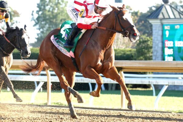 Fully Subscribed, horse, Tiz The Law, Juddmonte Spinster Stakes, domingo, 4 de octubre de 2026, Keeneland. Foto: @coadymediaUSA