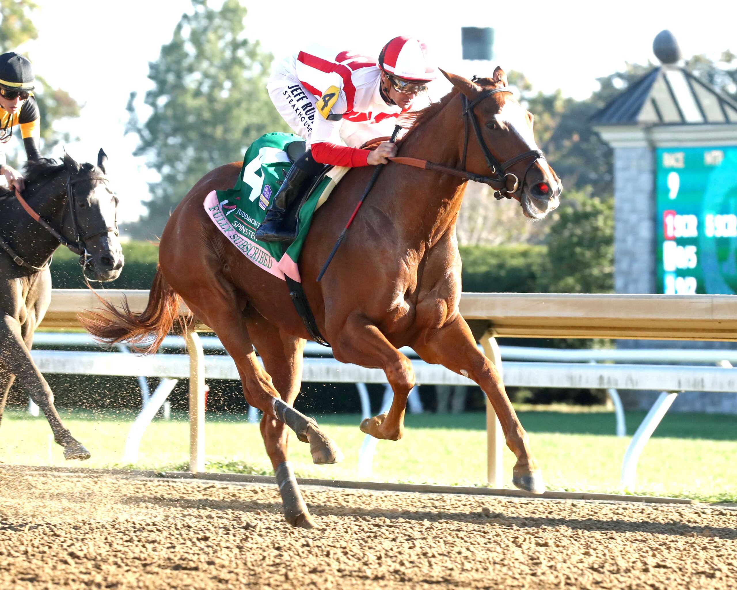 Fully Subscribed, horse, Tiz The Law, Juddmonte Spinster Stakes, domingo, 4 de octubre de 2026, Keeneland. Foto: @coadymediaUSA