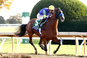 Hughes, horse, Stonestreet Stables LLC, Breeders Cup Juvenile, viernes, 30 de octubre de 2026, Keeneland. Foto: Coady Media