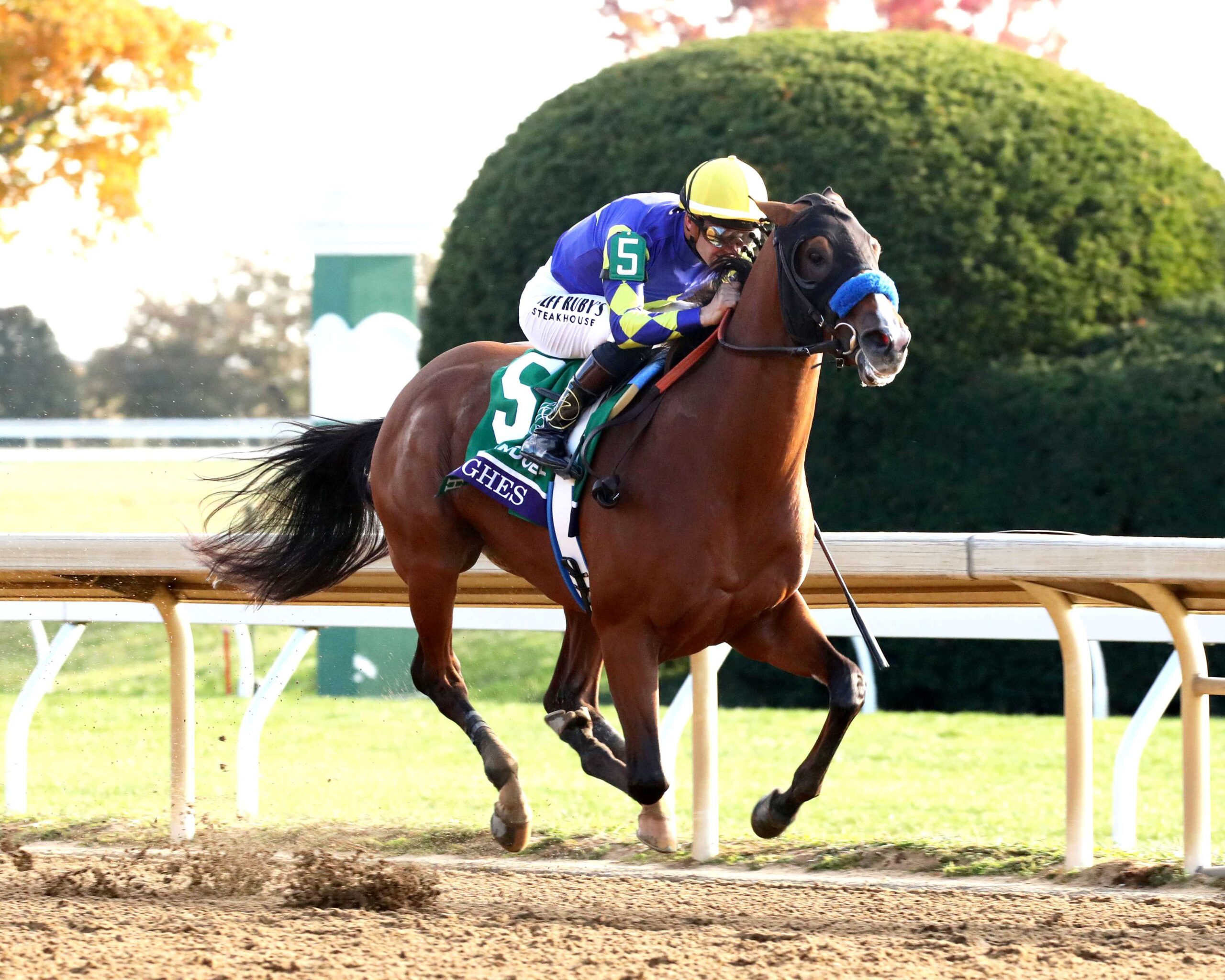 Hughes, horse, Stonestreet Stables LLC, Breeders Cup Juvenile, viernes, 30 de octubre de 2026, Keeneland. Foto: Coady Media