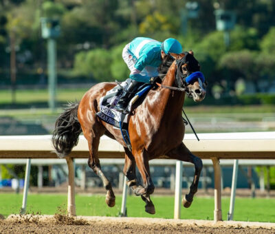 Hughes, horse, Into Mischief, American Pharoah Stakes, sábado, 3 de octubre de 2026, Santa Anita Park. Foto: Benoit Photo