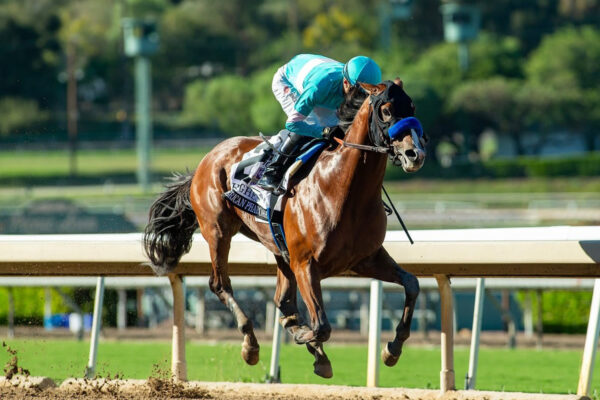 Hughes, horse, Into Mischief, American Pharoah Stakes, sábado, 3 de octubre de 2026, Santa Anita Park. Foto: Benoit Photo