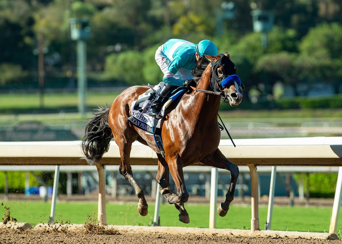 Hughes, horse, Into Mischief, American Pharoah Stakes, sábado, 3 de octubre de 2026, Santa Anita Park. Foto: Benoit Photo