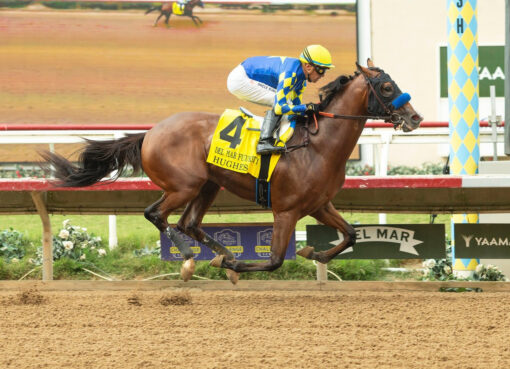 Hughes, horse, Into Mischief, Del Mar Futurity, sábado, 6 de septiembre de 2026, Del Mar. Foto: Benoit Photo