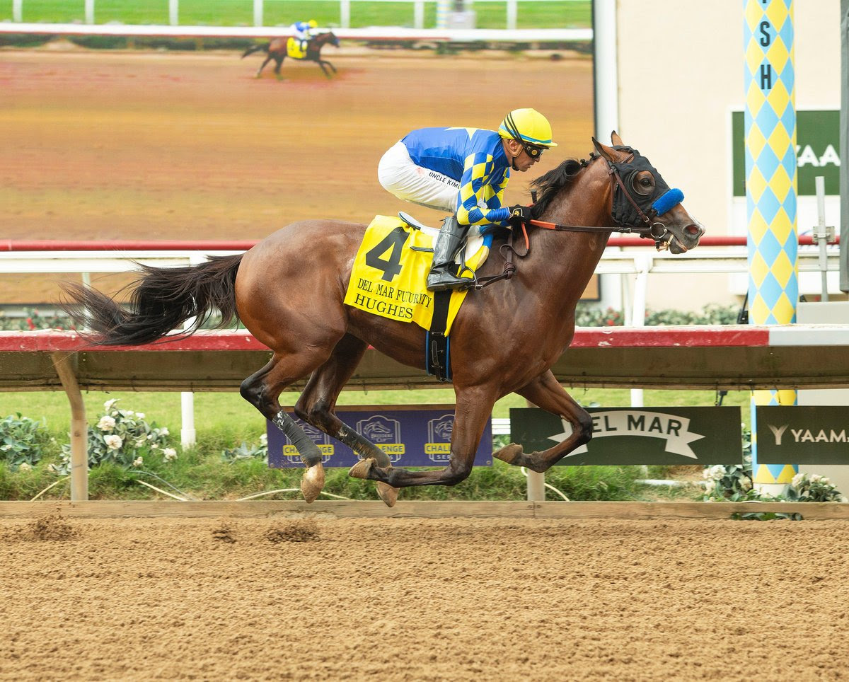 Hughes, horse, Into Mischief, Del Mar Futurity, sábado, 6 de septiembre de 2026, Del Mar. Foto: Benoit Photo