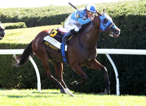 Joe Shiesty, horse, Air Force Blue, Fanduel Woodford Stakes, sábado, 3 de octubre de 2026, Keeneland. Foto: @coadymediaUSA