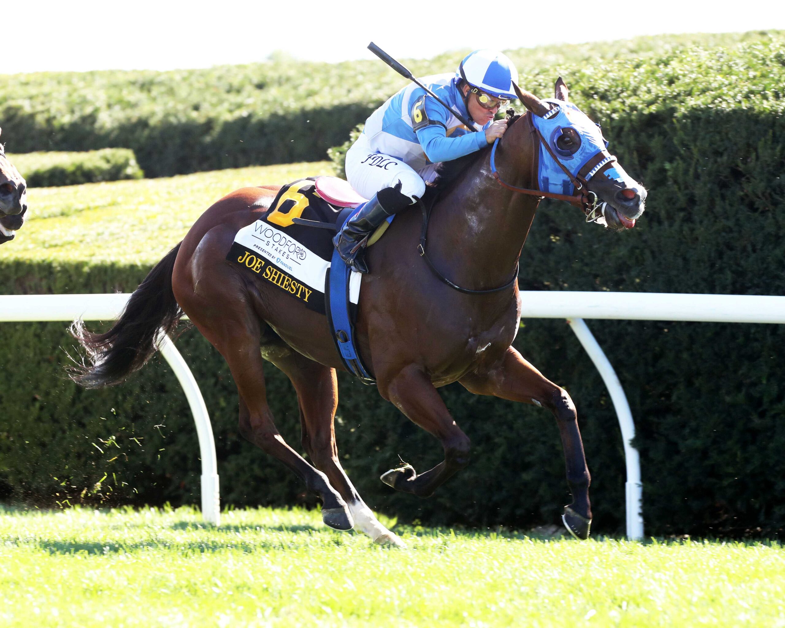 Joe Shiesty, horse, Air Force Blue, Fanduel Woodford Stakes, sábado, 3 de octubre de 2026, Keeneland. Foto: @coadymediaUSA