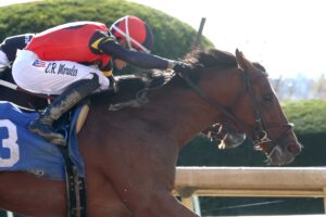 Just For Pipa, horse, Justify, Bowman Mill Stakes, sábado, 24 de octubre de 2026, Keeneland. Foto: @coadymediaUSA