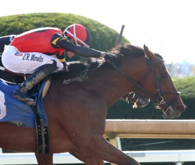 Just For Pipa, horse, Justify, Bowman Mill Stakes, sábado, 24 de octubre de 2026, Keeneland. Foto: @coadymediaUSA