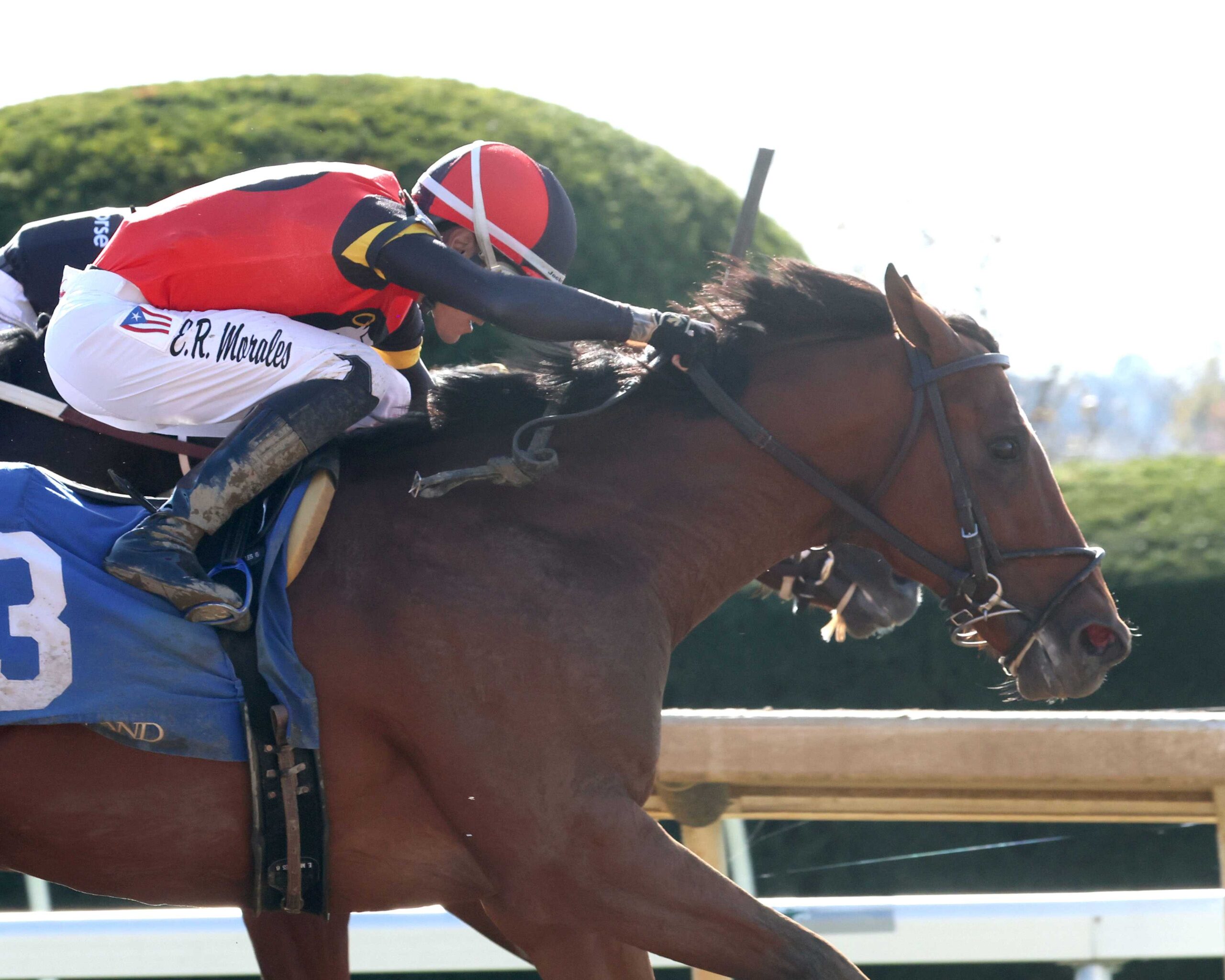 Just For Pipa, horse, Justify, Bowman Mill Stakes, sábado, 24 de octubre de 2026, Keeneland. Foto: @coadymediaUSA