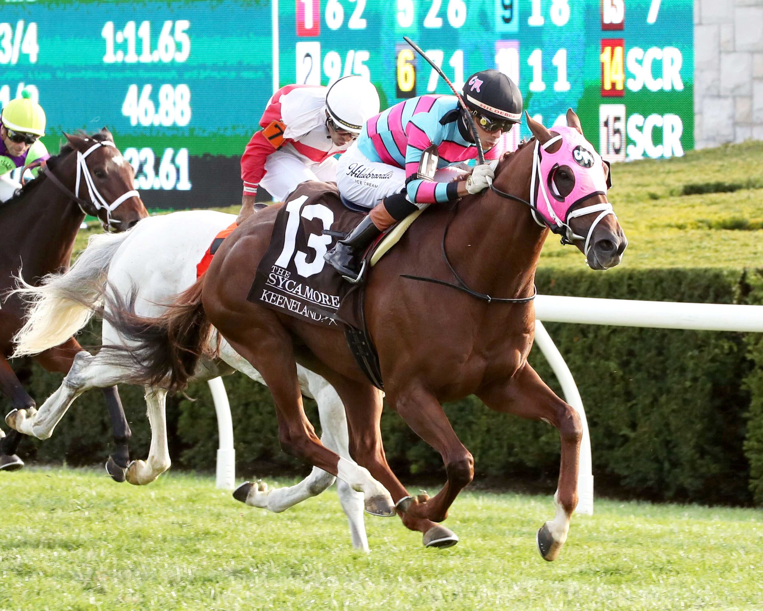 Lambeth, horse, Juddmonte, Sycamore Stakes, viernes, 9 de octubre de 2026, Keeneland. Foto: @coadymediaUSA
