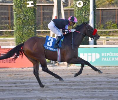 Fletcher, horse, Haras La Pasión, Gran Premio Polla de Potrillos, sábado, 5 de septiembre de 2026, Hipódromo de Palermo. Foto: Prensa Palermo