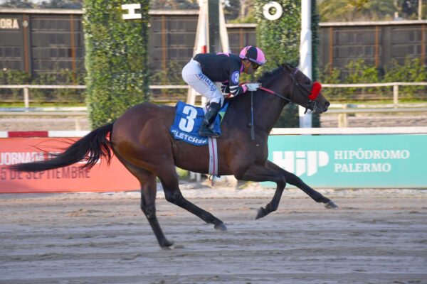 Fletcher, horse, Haras La Pasión, Gran Premio Polla de Potrillos, sábado, 5 de septiembre de 2026, Hipódromo de Palermo. Foto: Prensa Palermo