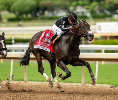 Listenupshance, horse, Shancelot, Santa Anita Sprint Championship Stakes, domingo, 27 de septiembre de 2026, Santa Anita Park. Foto: Benoit Photo