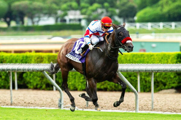 Little Opal, Horses, Caravaggio, John C. Harris Stakes, sábado, 26 de septiembre de 2026, Santa Anita Park. Foto: Benoit Photo