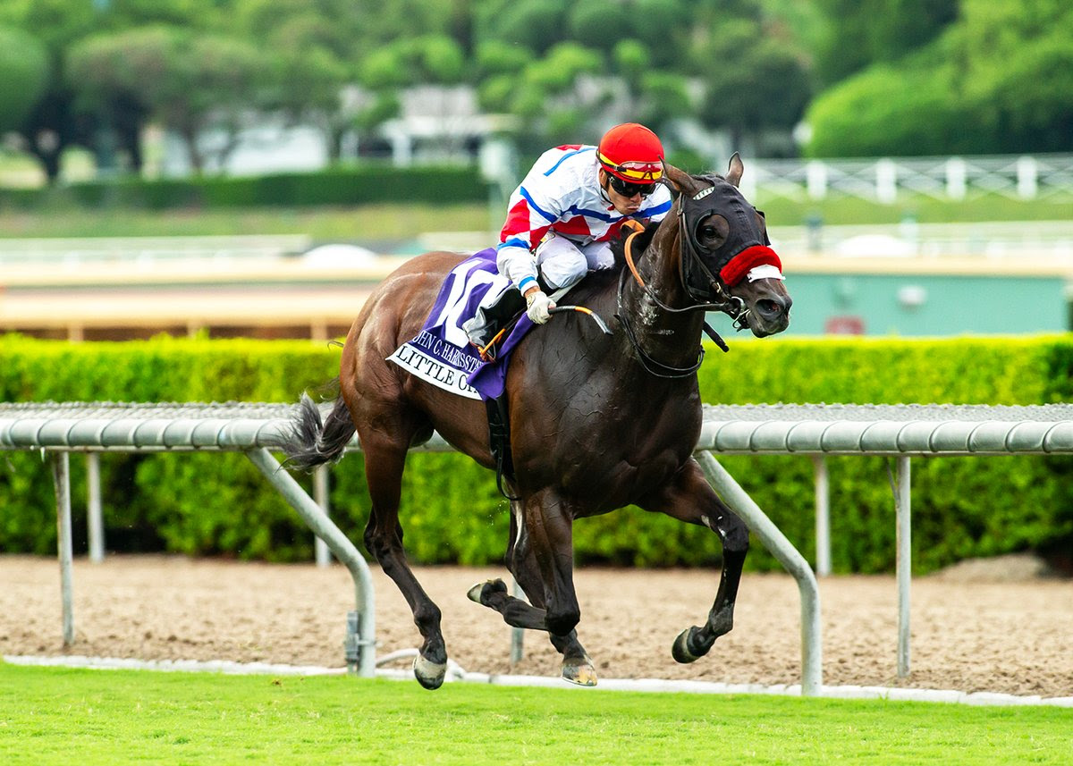 Little Opal, Horses, Caravaggio, John C. Harris Stakes, sábado, 26 de septiembre de 2026, Santa Anita Park. Foto: Benoit Photo