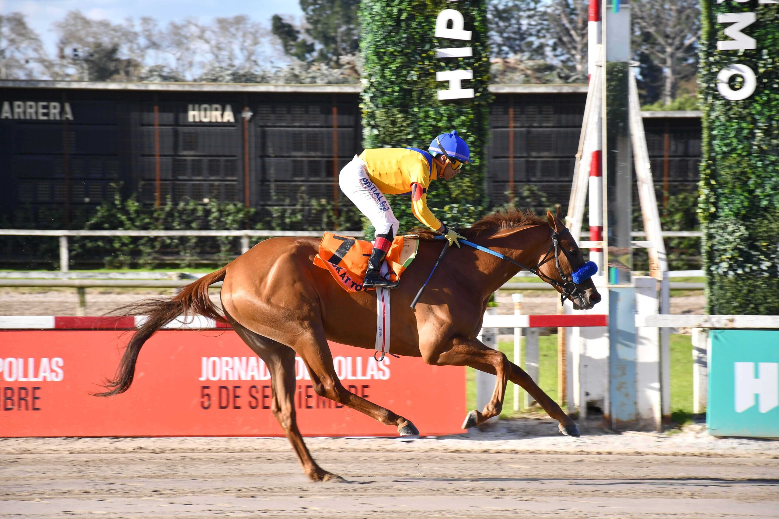 Look At Me, horse, Dabster, Gran Premio Selección de Potrancas, sábado, 5 de septiembre de 2026, Hipódromo de Palermo. Foto: Prensa Palermo