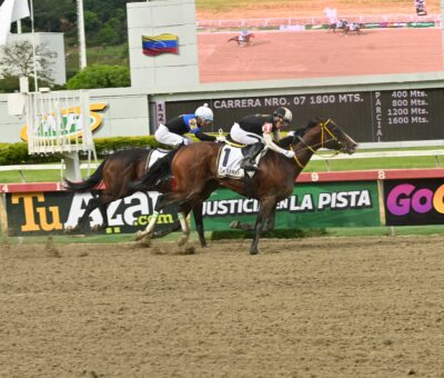 Lured Away, horse, Enticed, Clásico Jockey Club de Venezuela, domingo, 4 de octubre de 2026, La Rinconada. Foto: José Antonio Aray