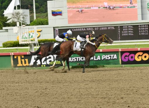 Lured Away, horse, Enticed, Clásico Jockey Club de Venezuela, domingo, 4 de octubre de 2026, La Rinconada. Foto: José Antonio Aray