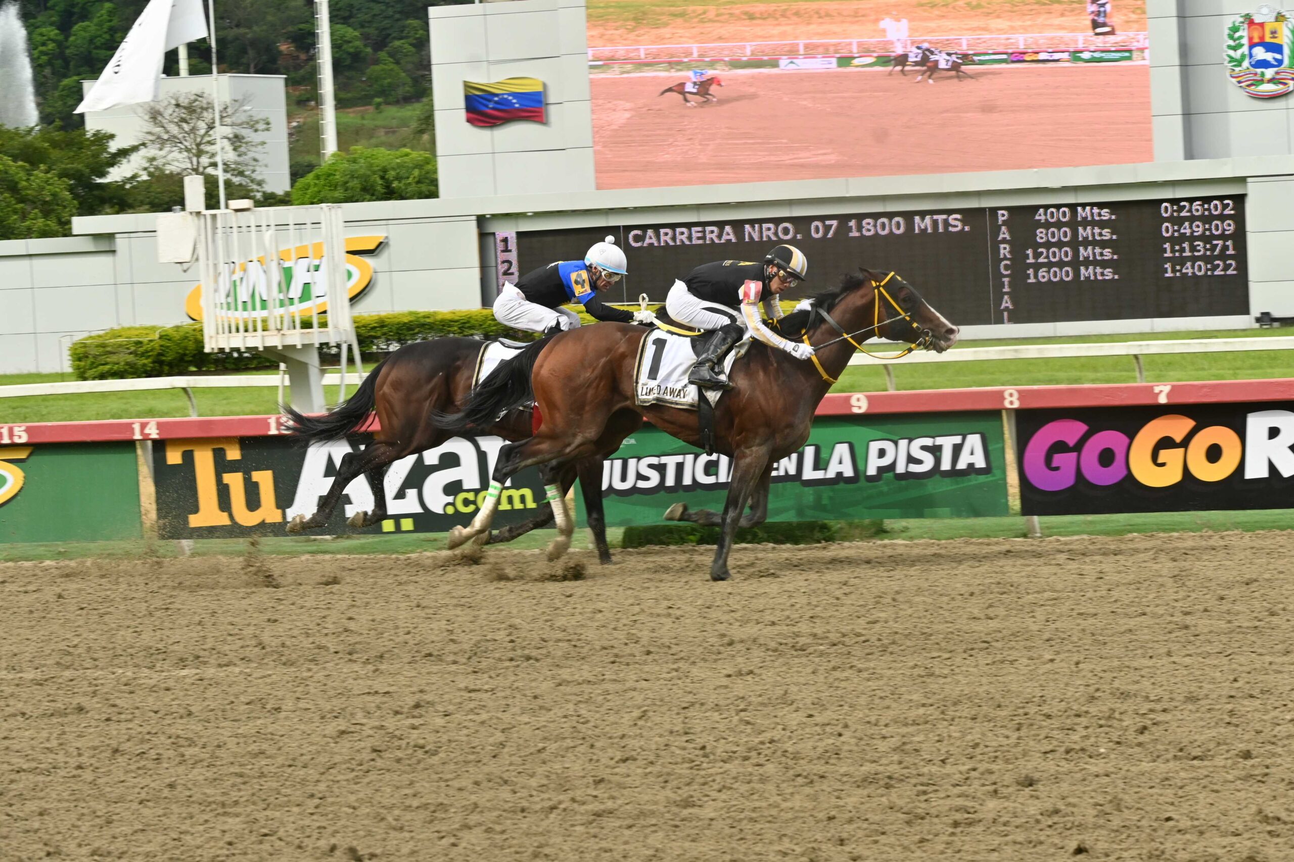 Lured Away, horse, Enticed, Clásico Jockey Club de Venezuela, domingo, 4 de octubre de 2026, La Rinconada. Foto: José Antonio Aray