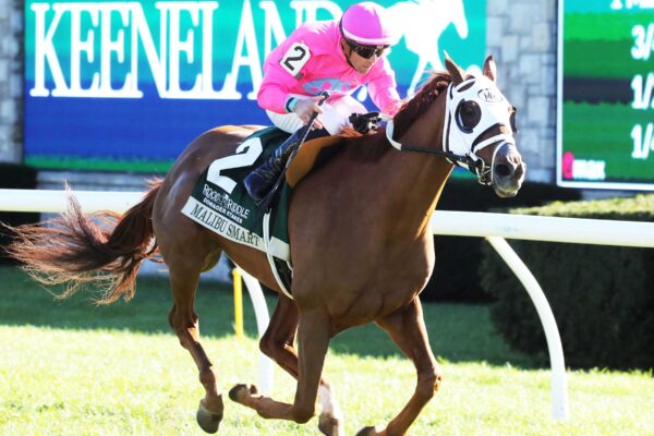 Malibu Smart, horse, Shadwell Farm, Rood and Riddle Dowager Stakes, domingo, 18 de octubre de 2026, Keeneland. Foto: @coadymediaUSA
