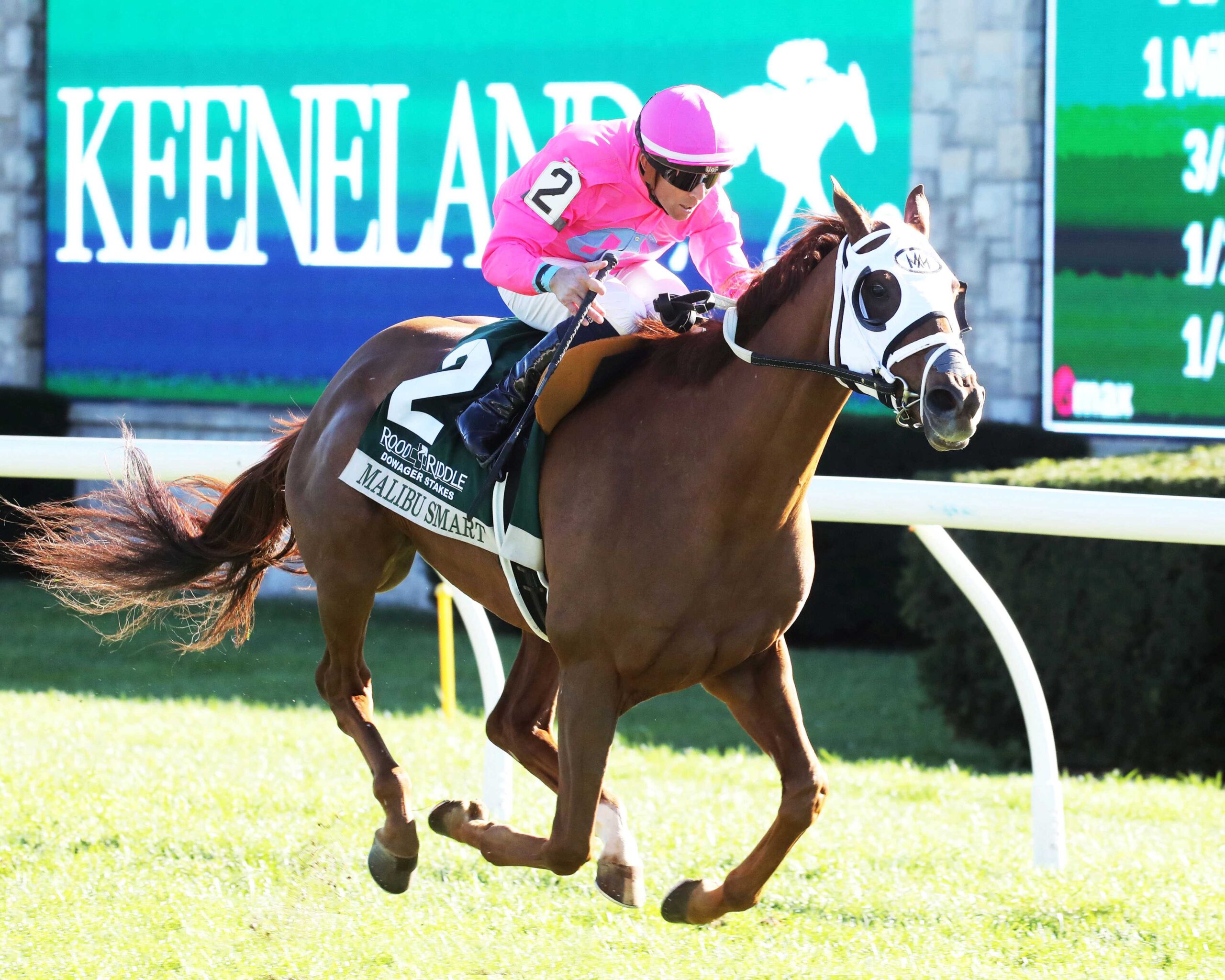 Malibu Smart, horse, Shadwell Farm, Rood and Riddle Dowager Stakes, domingo, 18 de octubre de 2026, Keeneland. Foto: @coadymediaUSA