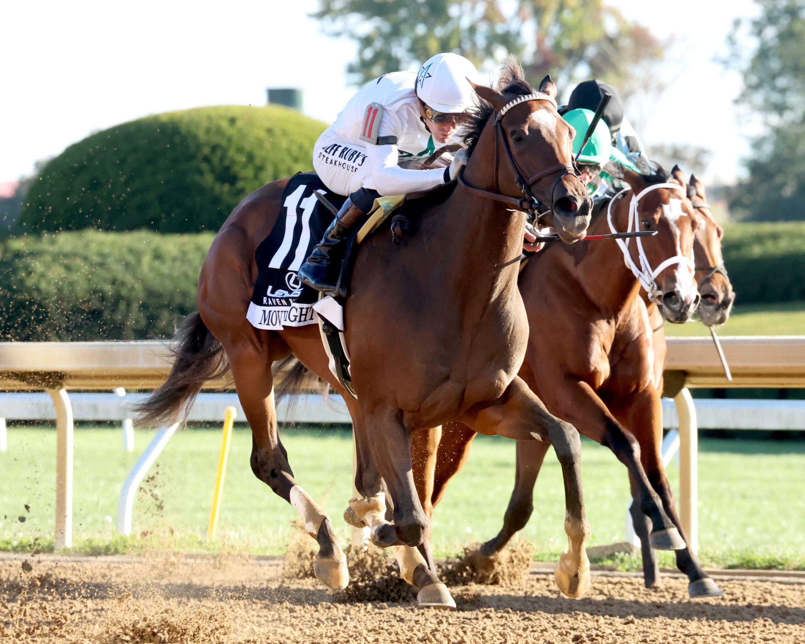 Movie Night, WinStar Farm, Lexus Raven Run Stakes, sábado, 17 de octubre de 2026, Keeneland. Foto: @coadymediaUSA