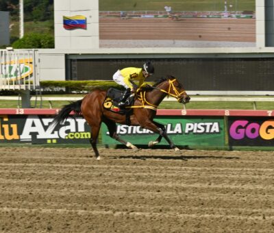 My Amazing Mate, horse, Modernist, Clásico Edgar Ganteaume, domingo, 18 de octubre de 2026, La Rinconada. Foto: José Antonio Aray