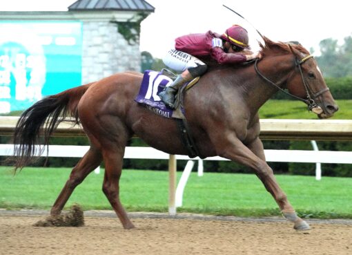 Nakatomi, horse, Qatar Racing, Stoll Keennon Ogden Phoenix Stakes, viernes, 2 de octubre de 2026, Keeneland. Foto: @coadymediaUSA