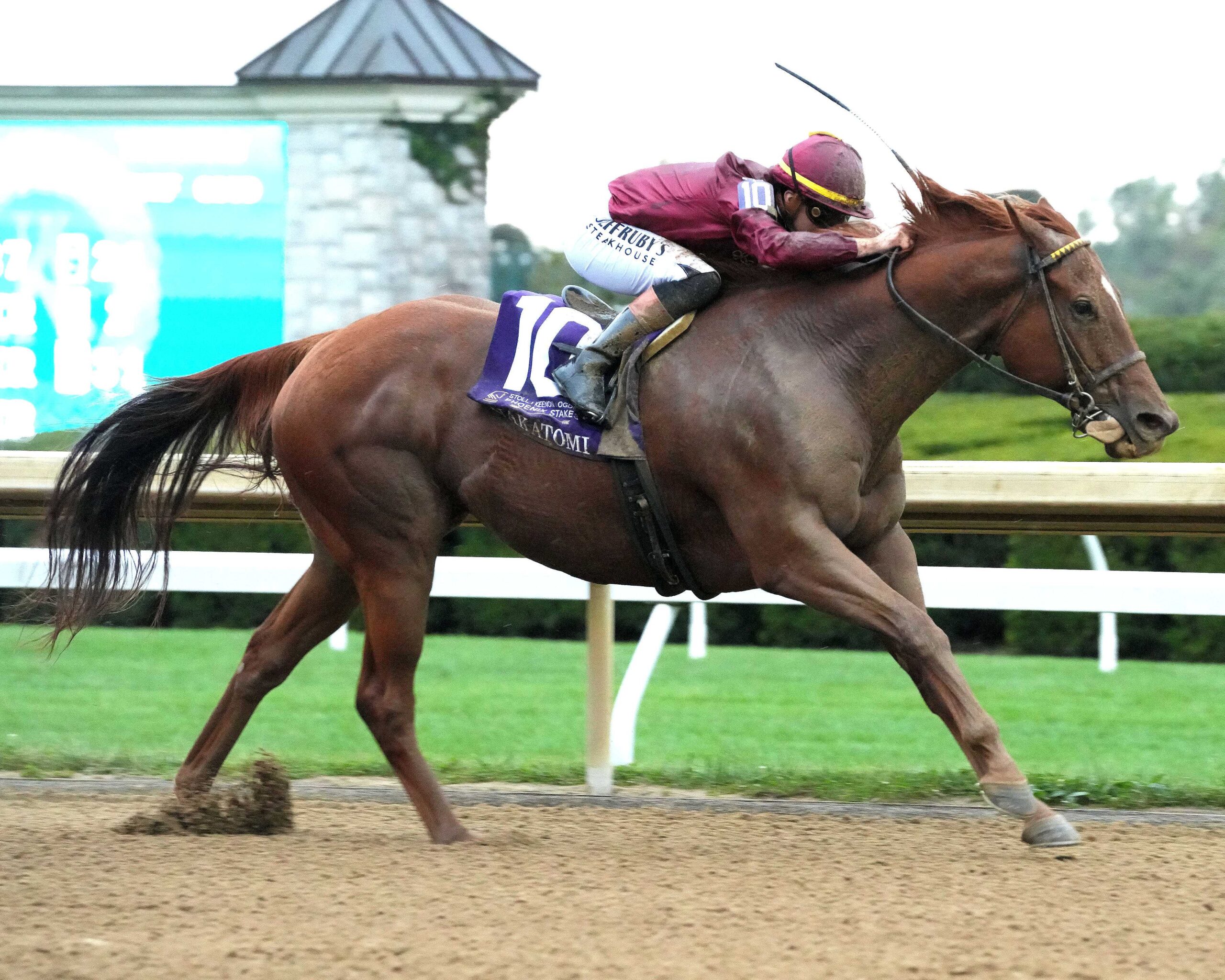 Nakatomi, horse, Qatar Racing, Stoll Keennon Ogden Phoenix Stakes, viernes, 2 de octubre de 2026, Keeneland. Foto: @coadymediaUSA