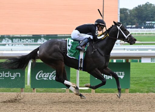 R Disaster, horses, Awesome Slew, jueves, 1 de octubre de 202, Belmont Park. Foto: Coglaniese Photo