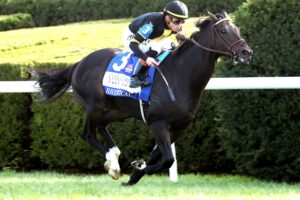 Rhetorical, horse, Not This Time, Coolmore Turf Mile Stakes, sábado, 3 de octubre de 2026, Keeneland. Foto: @coadymediaUSA