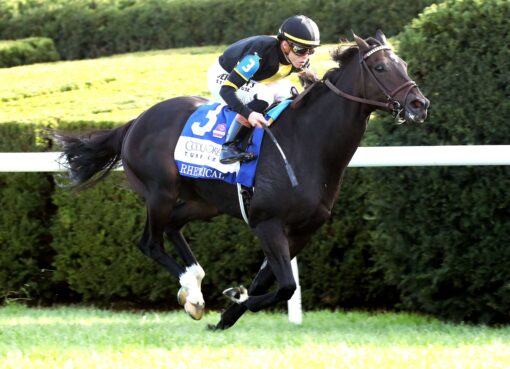 Rhetorical, horse, Not This Time, Coolmore Turf Mile Stakes, sábado, 3 de octubre de 2026, Keeneland. Foto: @coadymediaUSA
