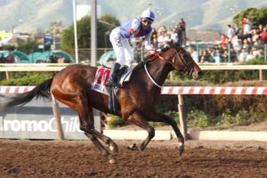Raval, horses, Tacitus, Clásico Gran Critérium Mauricio Serrano Palma, sábado, 3 de octubre de 2026, Hipódromo Chile. Foto: Jaime Cortés