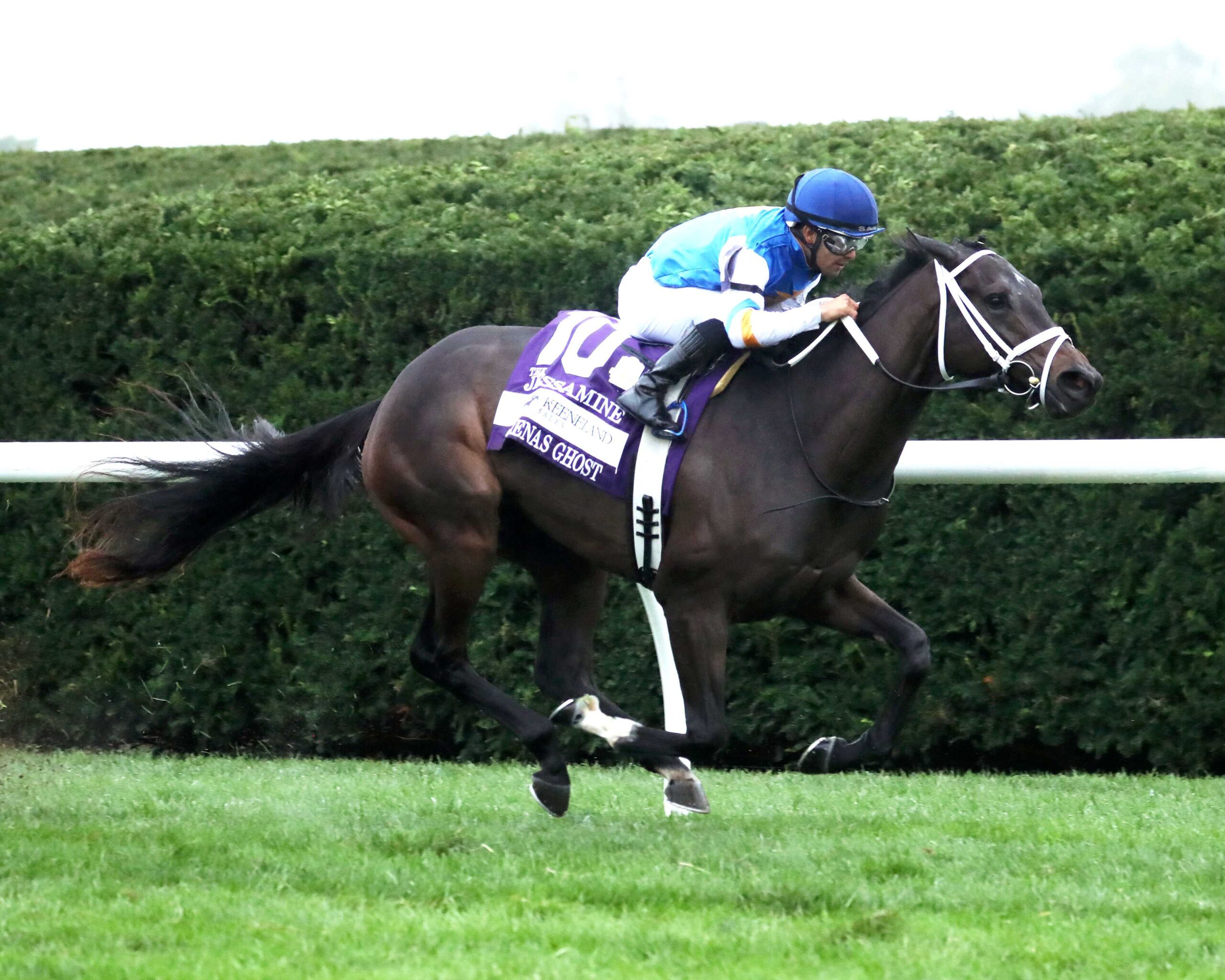 Serenas Ghost, horse, Girvin, Keeneland Sales Jessamine Stakes, viernes, 2 de octubre de 2026, Keeneland. Foto: @coadymediaUSA