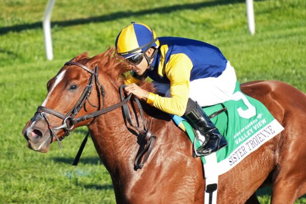 Sister Troienne, horse, Woodslane Farm, Bank Of America Valley View Stakes, viernes, 23 de octubre de 2026, Keeneland. Foto: @coadymediaUSA