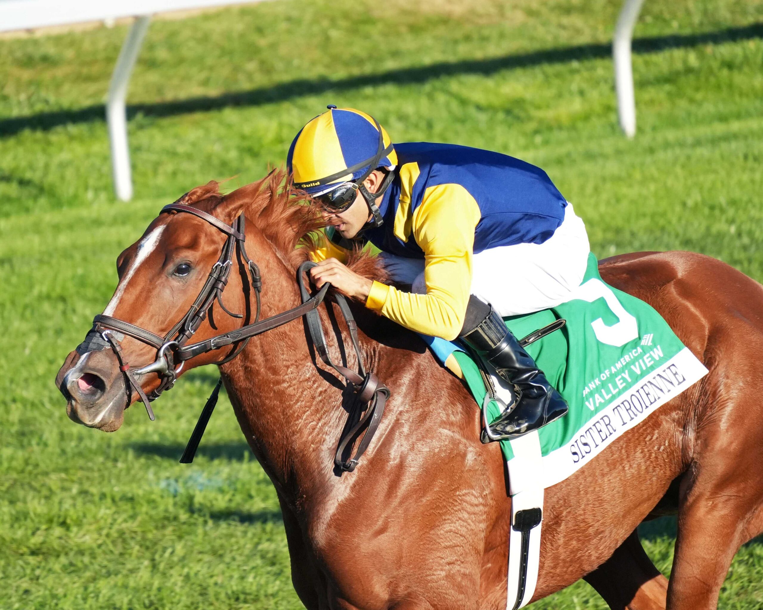 Sister Troienne, horse, Woodslane Farm, Bank Of America Valley View Stakes, viernes, 23 de octubre de 2026, Keeneland. Foto: @coadymediaUSA