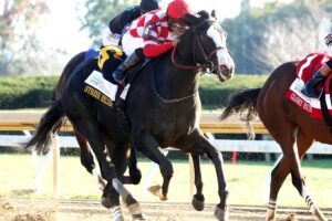 Stress Relief, horse, Not This Time, Myrtlewood Stakes, viernes, 23 de octubre de 2026, Keeneland. Foto: @coadymediaUSA