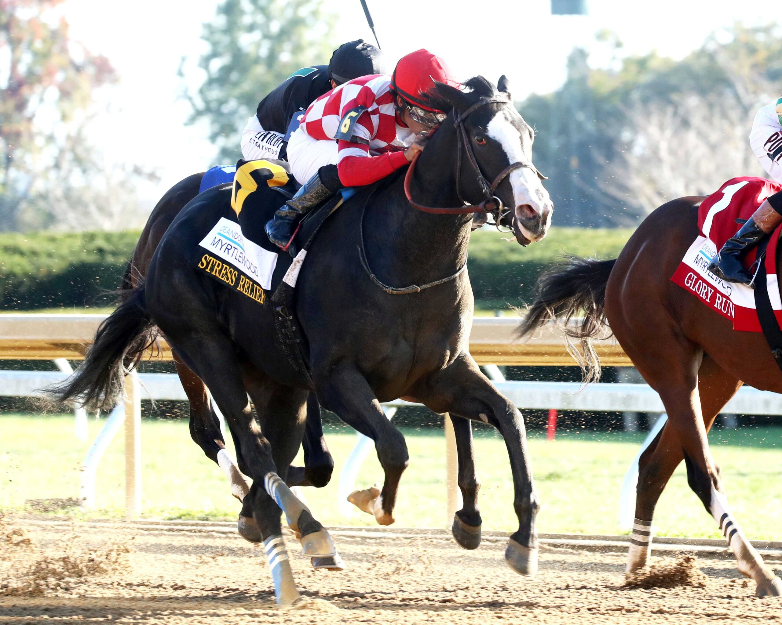 Stress Relief, horse, Not This Time, Myrtlewood Stakes, viernes, 23 de octubre de 2026, Keeneland. Foto: @coadymediaUSA
