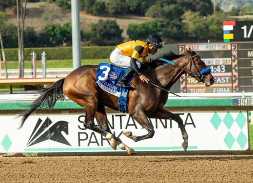 Súper Corredora, horse, Gun Runner, Zenyatta Stakes, sábado, 26 de septiembre de 2026, Santa Anita Park. Foto: Benoit Photo
